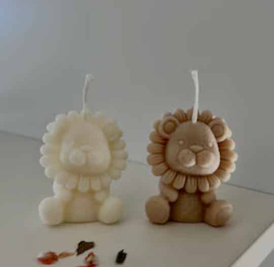 Bébé lion