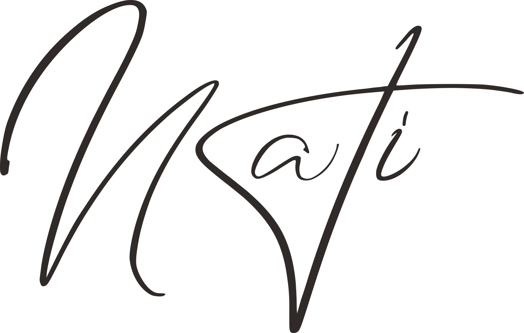 NATI - logo couleur
