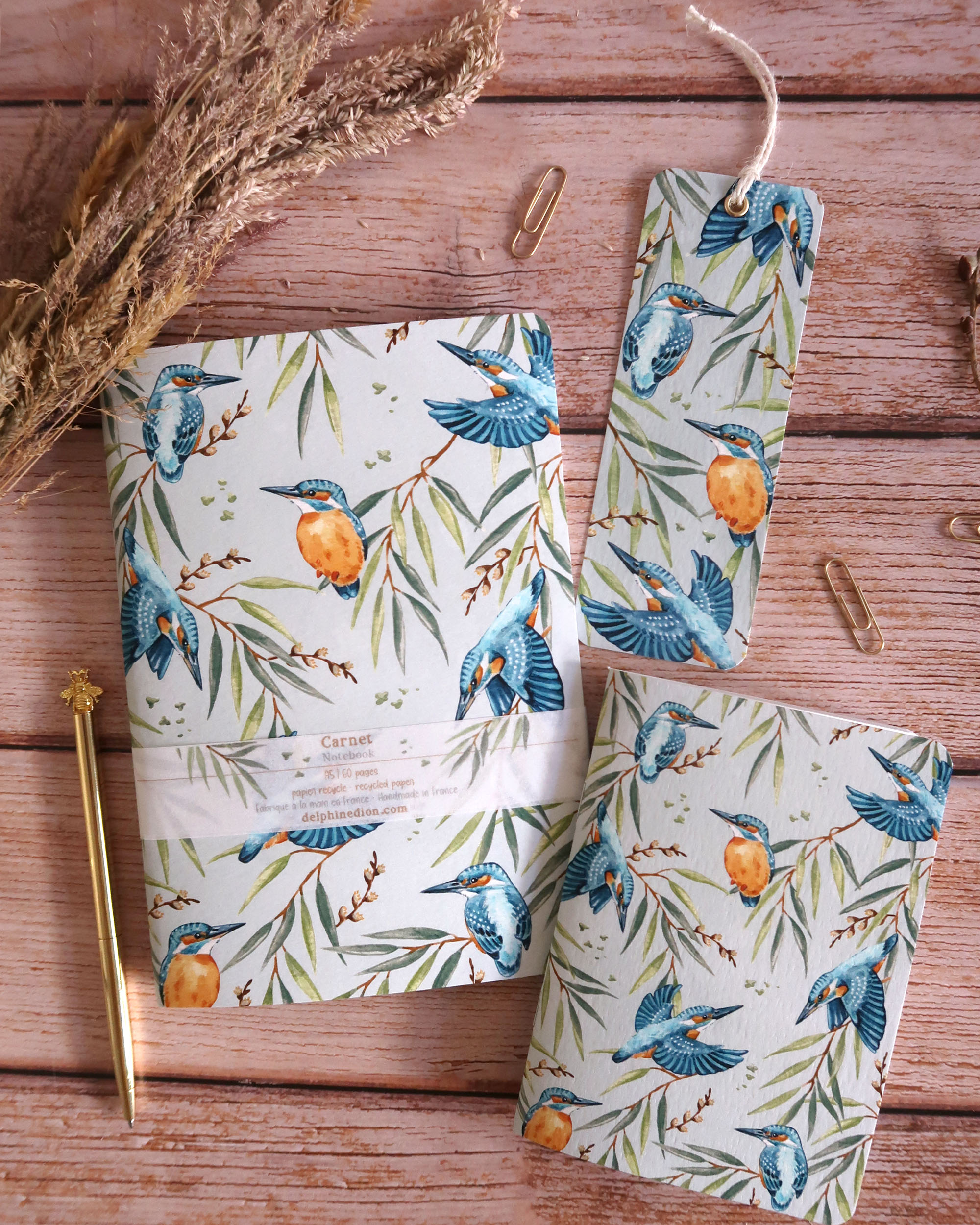 Delphine Dion - Aquarelles Naturalistes