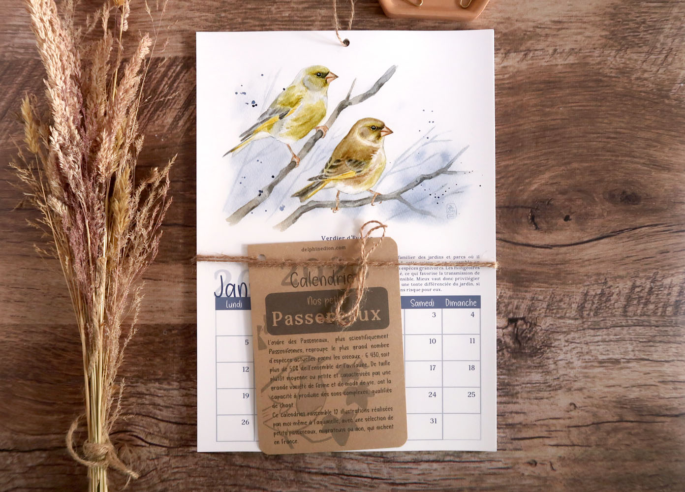 Calendrier 2026 | Nos petits Passereaux