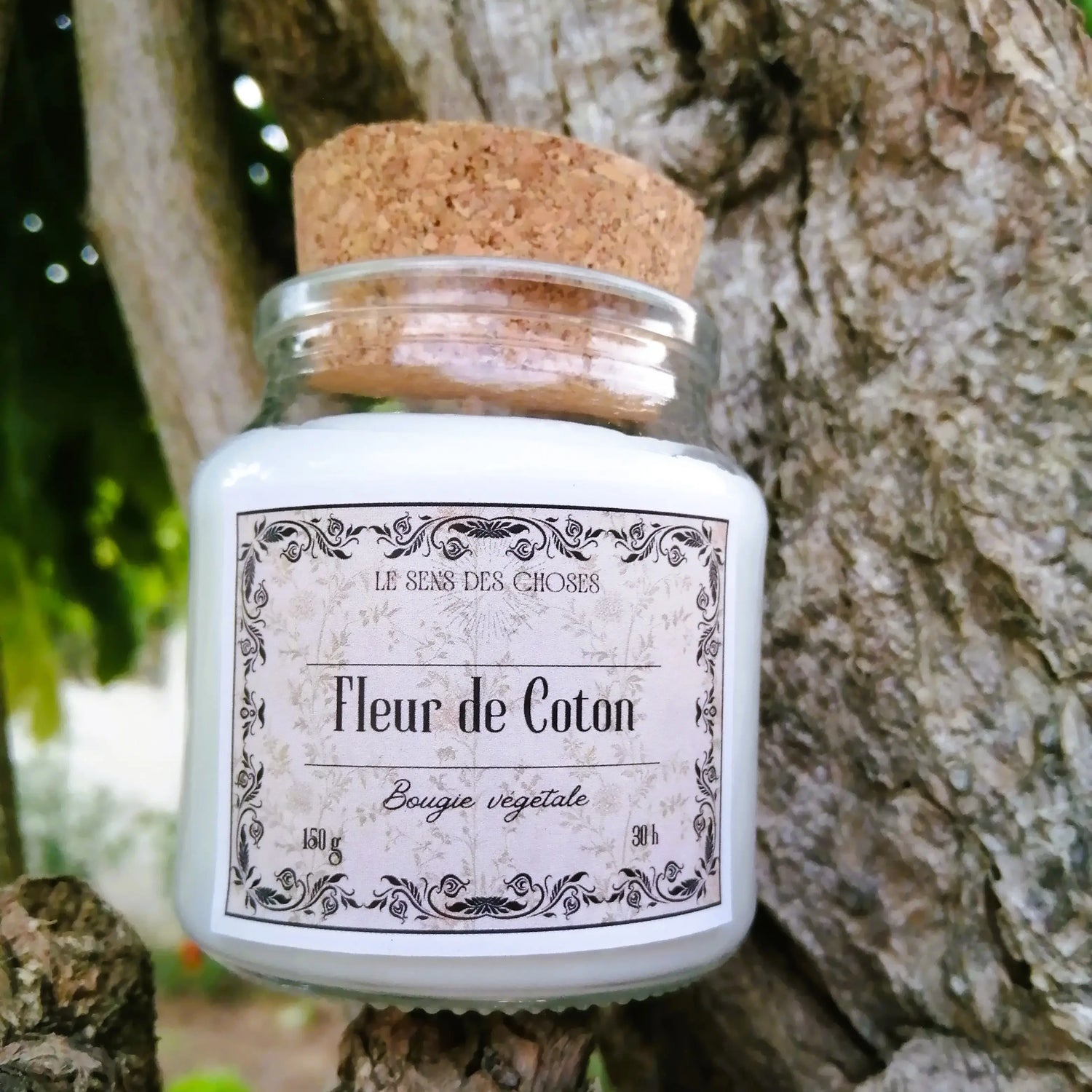 bougies, suspensions et fondants parfumés