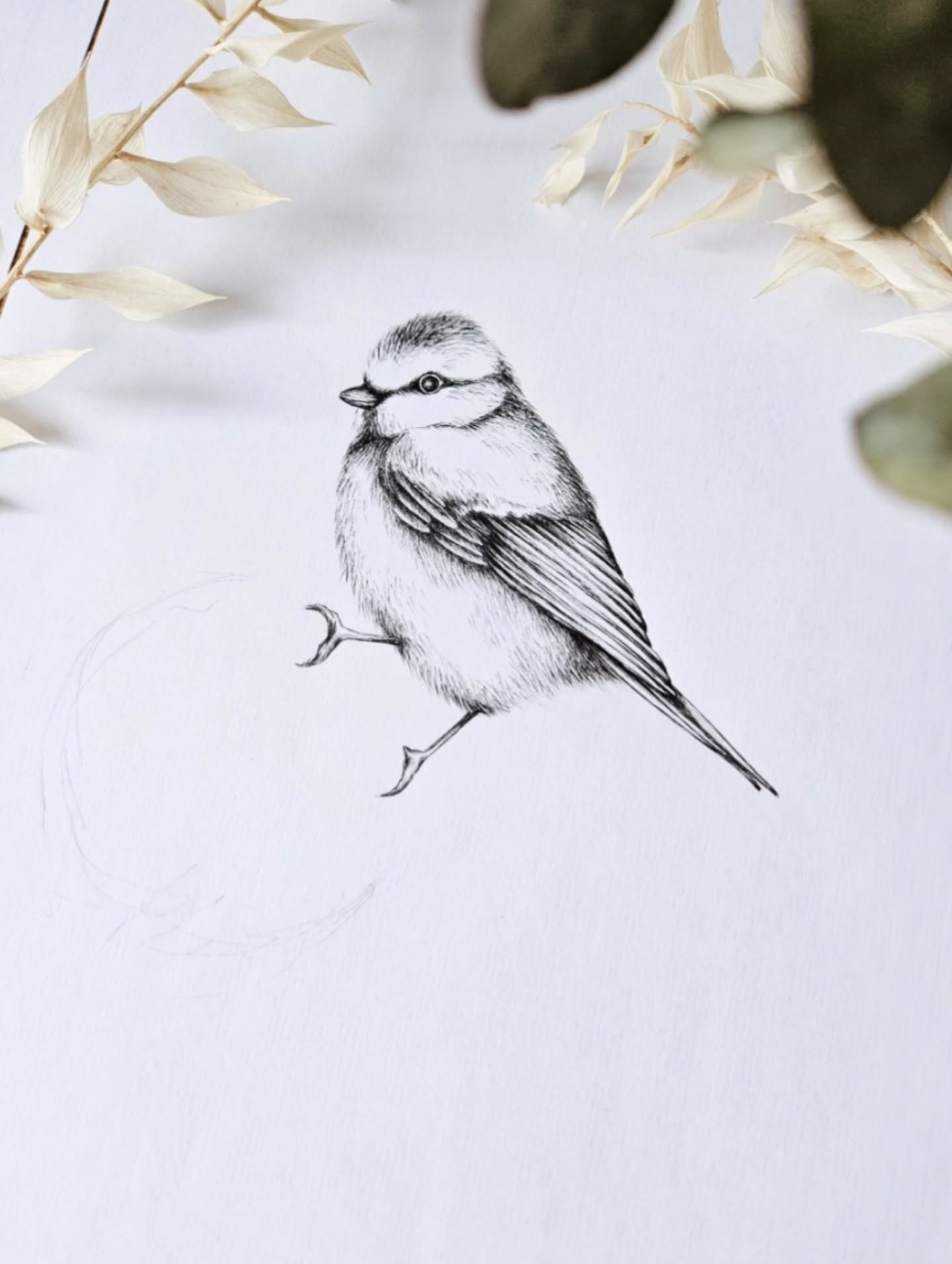 La Mésange Bleue 💙🩵

Illustration au crayon
www.luluaucrayon.fr 

Crayon @uniball_fr 

#illustrations #mésange #workinprogess #drawing #pencildrawing #pencilartwork #natureartworks #artoftheday #artwork #commandepersonnalisée #luluaucrayon #artistefrancai