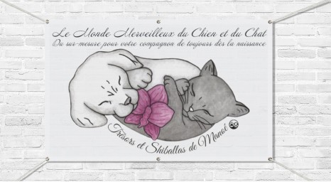 Shiballas De Manoé