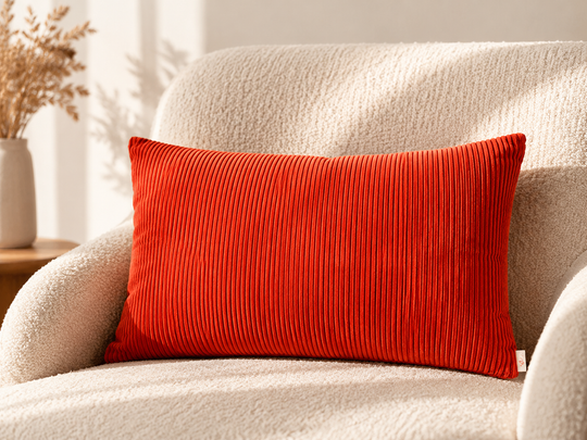 Coussin en Velours