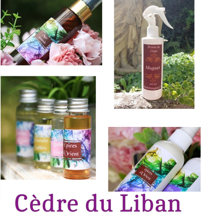 Dudebougies vous fait découvrir le nouveau parfum boisé Cèdre du Liban